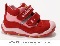 אלפנטן